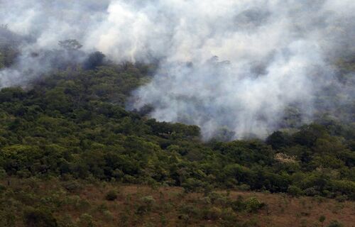 O que é o mercado de carbono e como ele funciona no Brasil