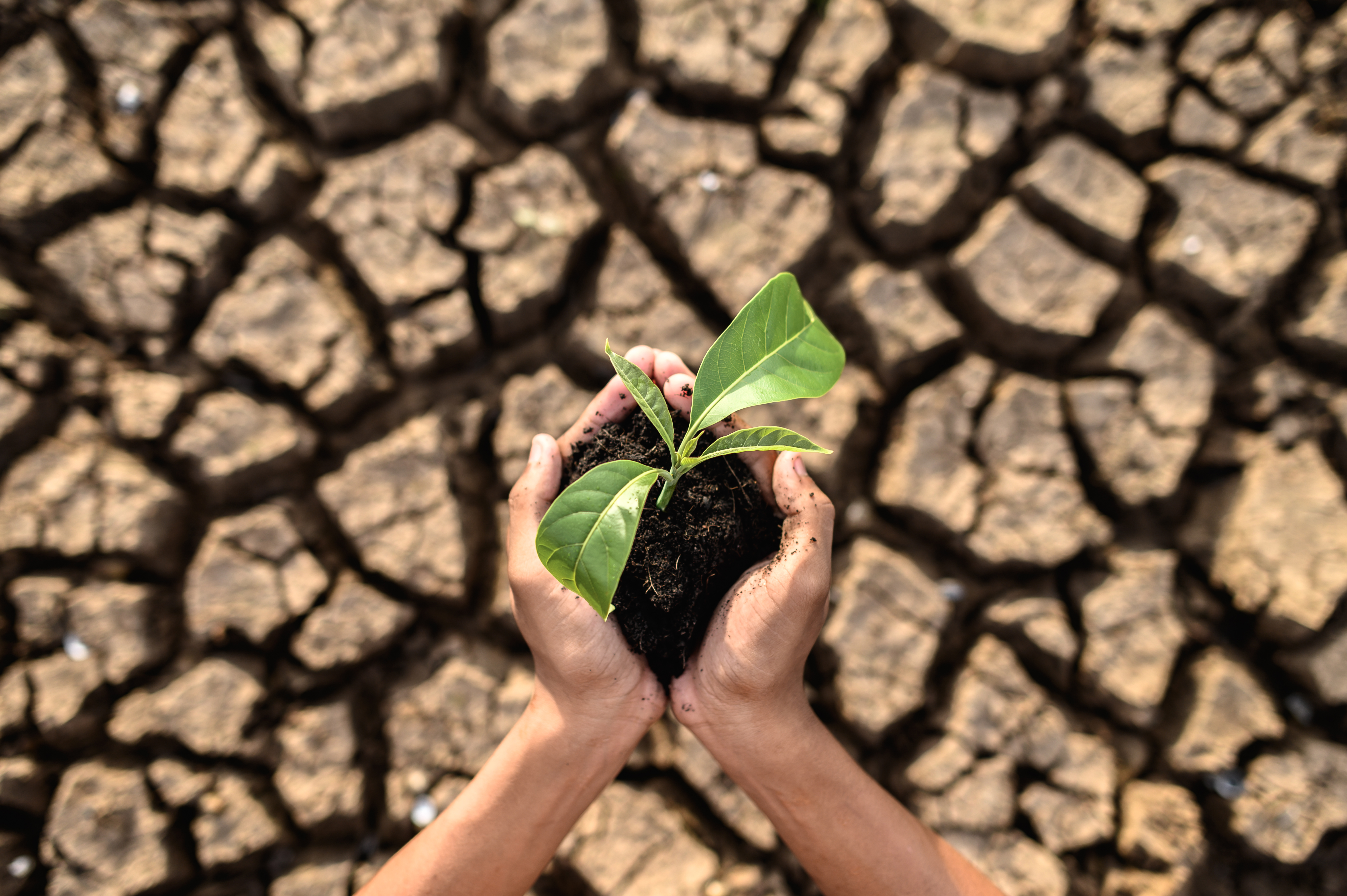 Oito em cada 10 brasileiros se preocupam com mudanças climáticas