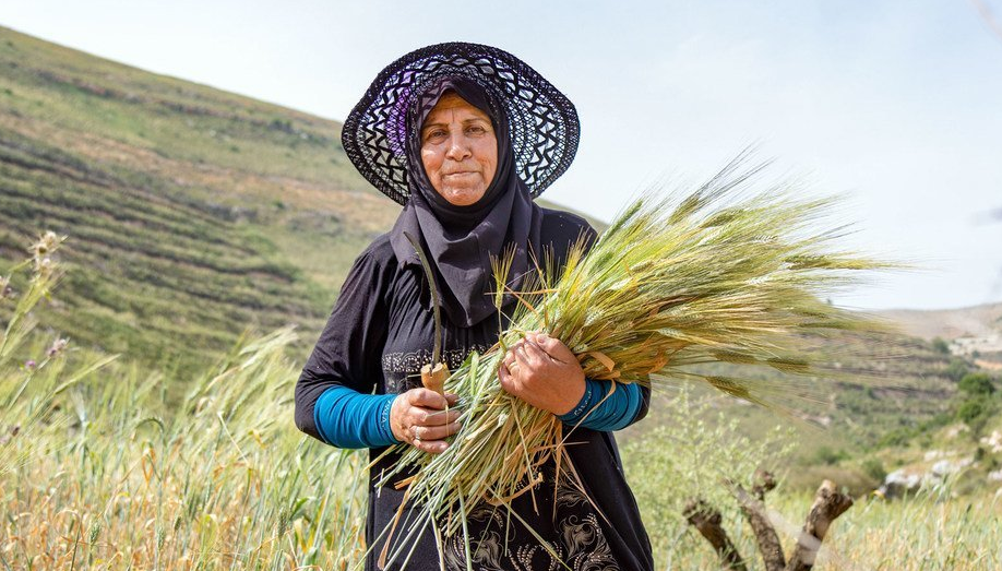 ONU lista cinco ações para impedir danos da mudança climática na alimentação