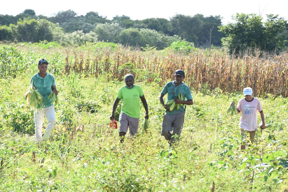 PAA e PAS: programas ajudam a reduzir a fome de 140 mil famílias no Piauí