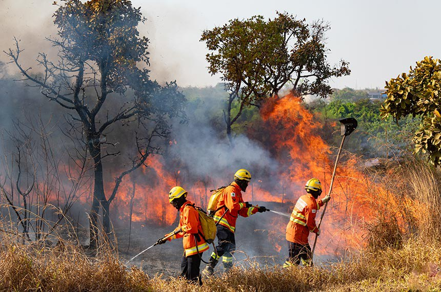 Para 59%, incêndios são causados para criar desordem, aponta DataSenado