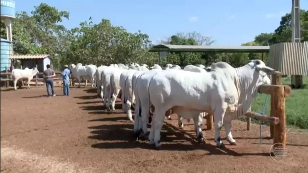 Parque de Exposição tem reforma autorizada e vai receber Expoapi em dezembro