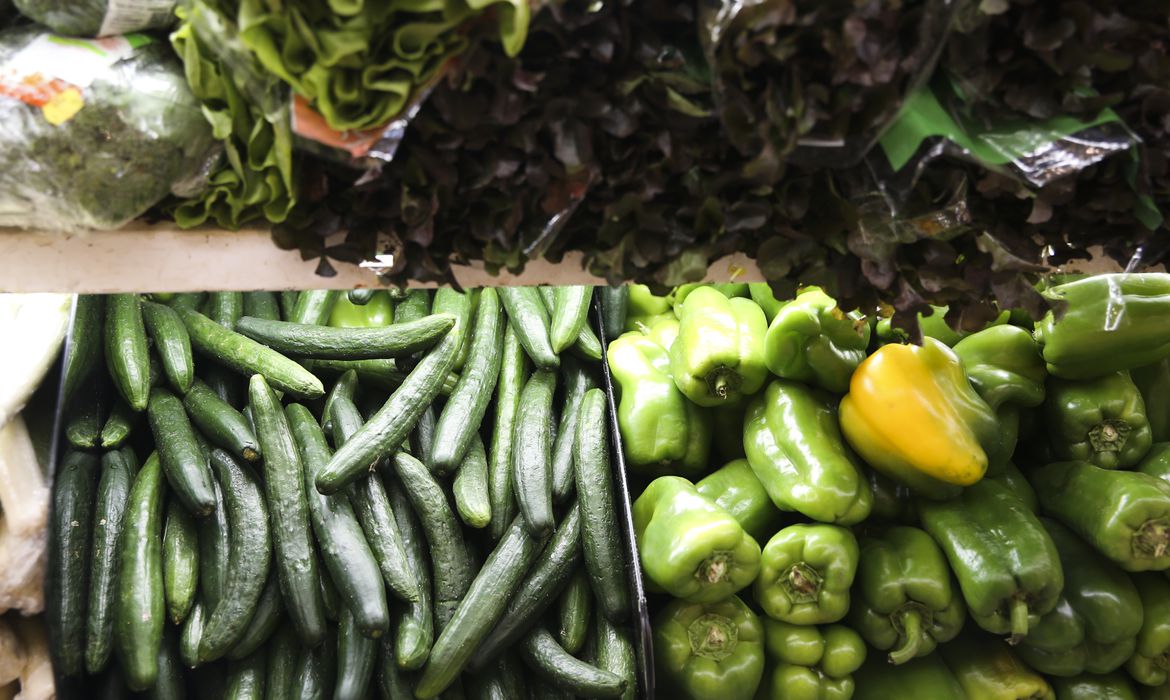 Pesquisa: alimentos na mesa não refletem biodiversidade