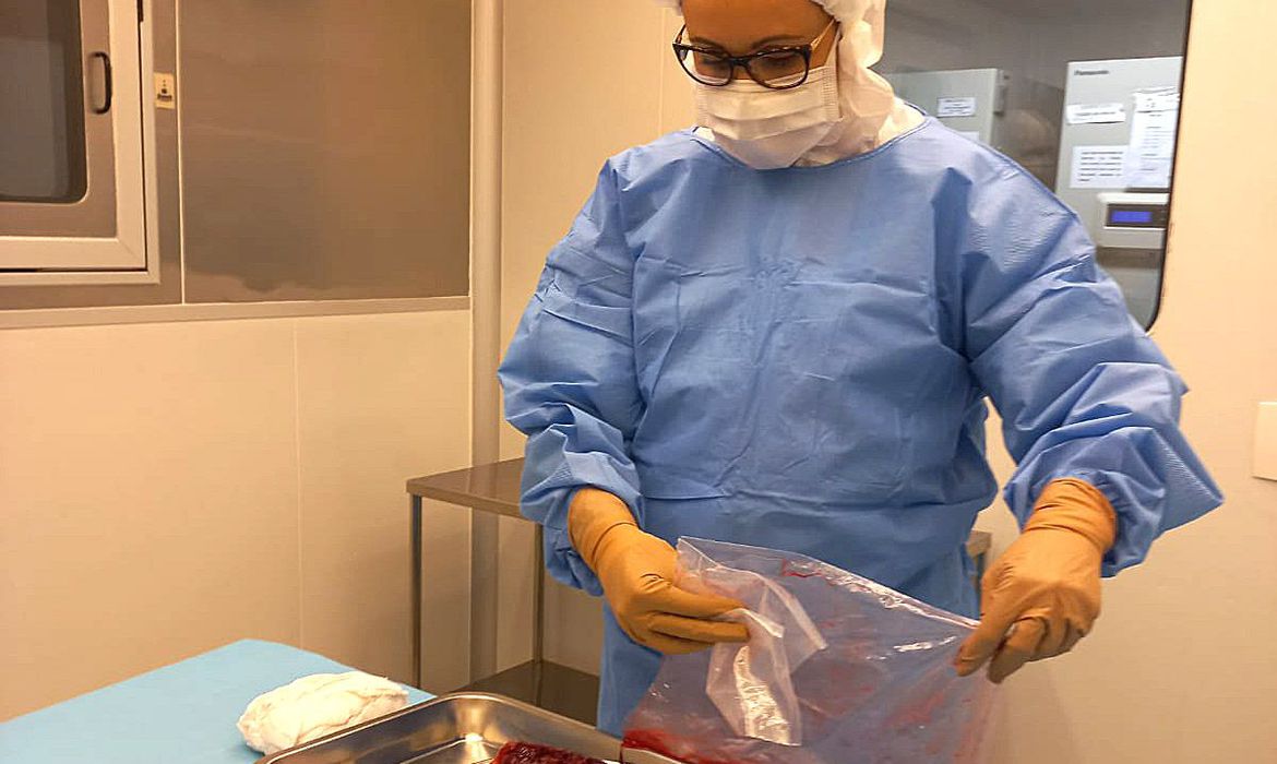 Pesquisa desenvolve curativos biológicos à base de placenta