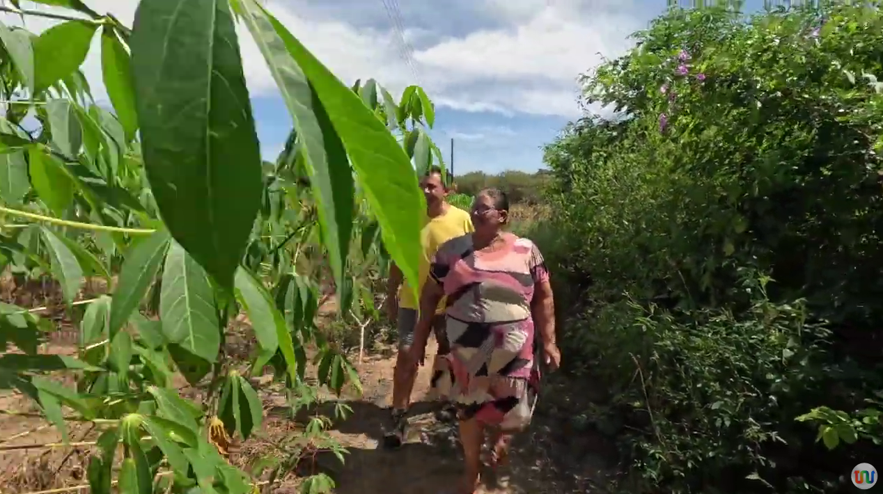 Piaui que Produz destaca benefícios da energia solar a pequenos agricultores de Piripiri