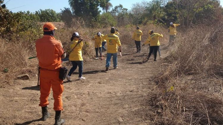 Piauí registra mais de 1,2 mil focos de incêndio este ano