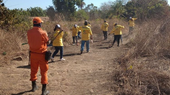 Piauí registra mais de 1,2 mil focos de incêndio este ano