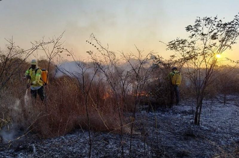 Piauí registra queda de 24% no número de focos de incêndio