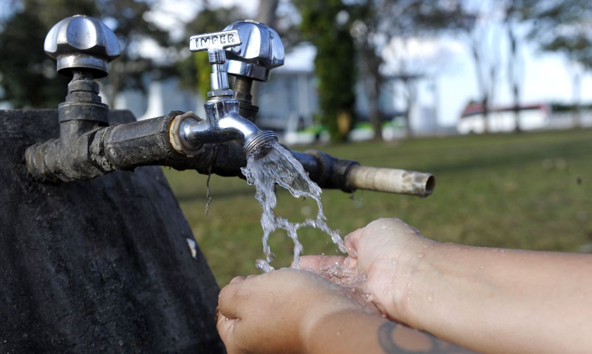 Preocupação com meio ambiente se reflete em hábitos de consumo