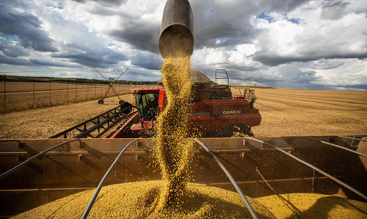 Produção agrícola deve atingir 269,3 milhões de toneladas, diz Conab