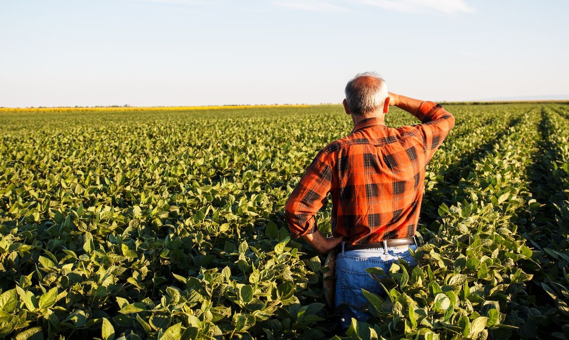 Produtor rural poderá regularizar cadastro ambiental pela internet