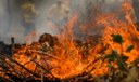 Quase 1/4 do território brasileiro pegou fogo nos últimos 40 anos