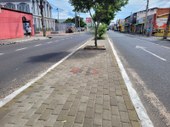 Saad Sudeste finaliza urbanização do canteiro central da avenida José Francisco