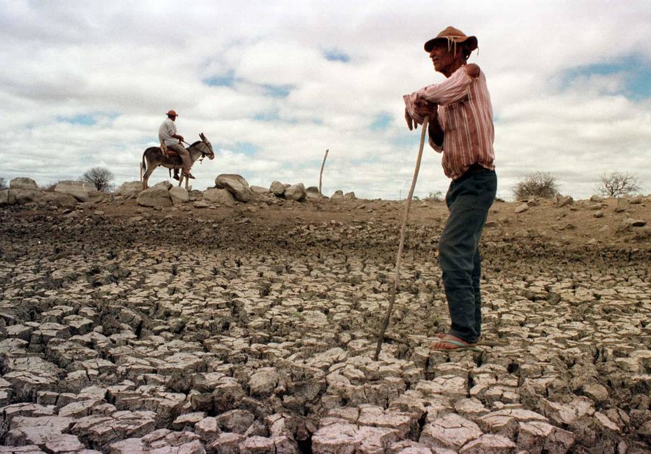 #SalveJegue: Campanha pede fim do abate de jumentos no Brasil