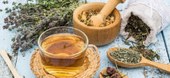 Saúde lança cursos gratuitos sobre plantas medicinais e fitoterápicos, musicoterapia e terapia de florais no SUS