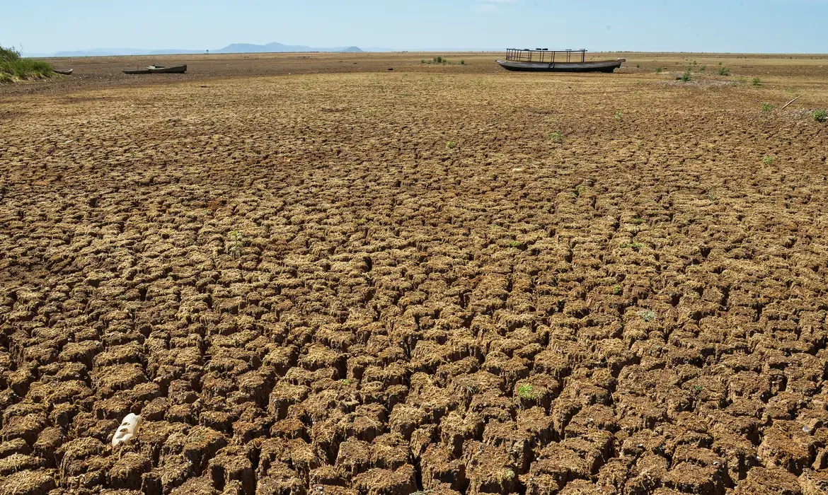 Seca extrema: ação humana é uma das causas principais do fenômeno climático