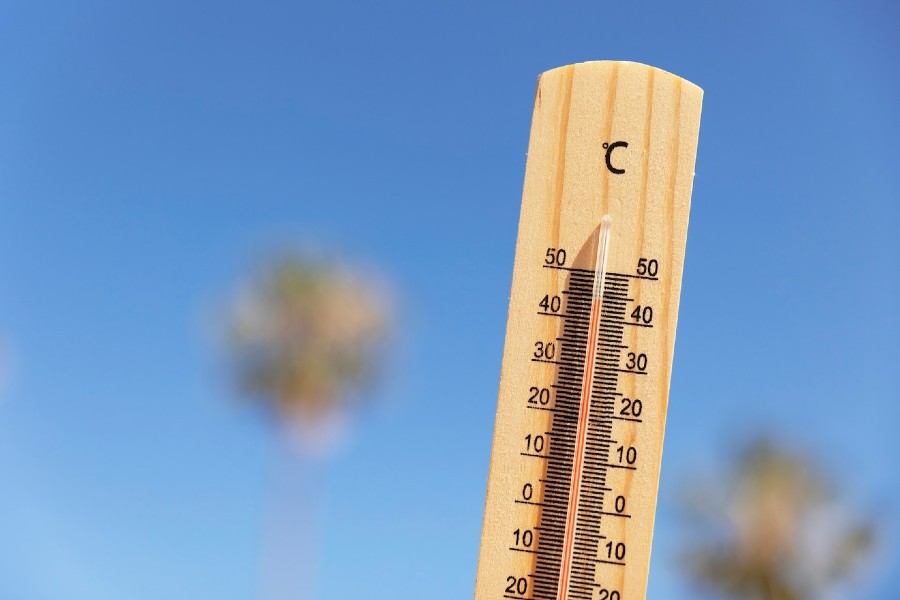 Semarh: boletim sobre efeitos das ondas de calor no Piauí