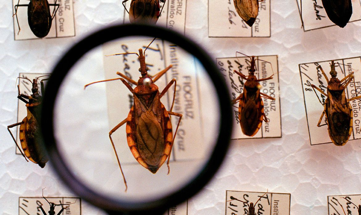 Sesapi capacita municípios para notificação de doença de Chagas