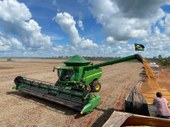 Soja do Piauí ultrapassa R$ 8 bi no valor de produção agrícola