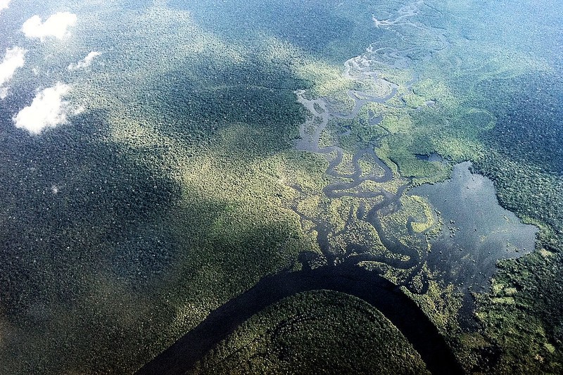 Tecnologia vai auxiliar Judiciário na proteção do meio ambiente