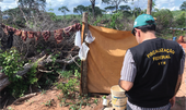 Trabalho escravo tem cervejaria e recorde de empregadores