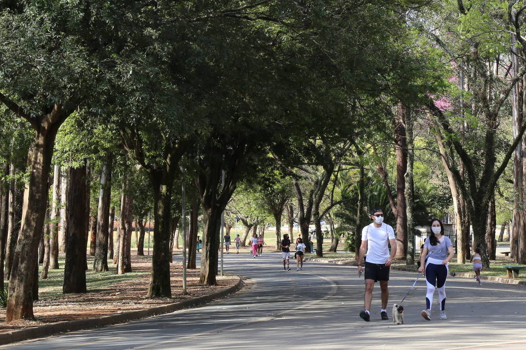 Trinta minutos de exercício físico por dia são o suficiente para se manter saudável