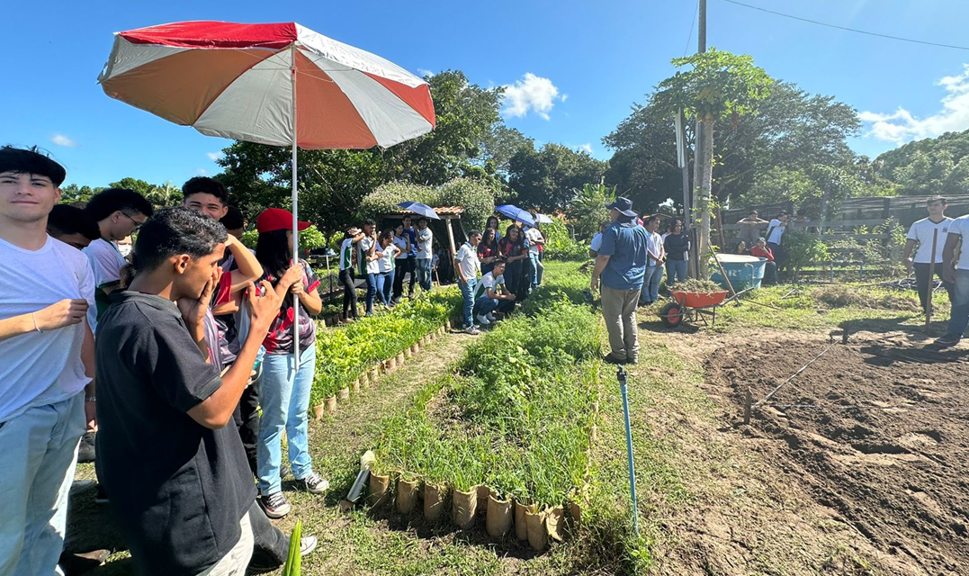 UFPI e EMBRAPA firmam parceria na área de produção de alimentos